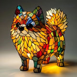 Svetel sončni žarek Pomeranian